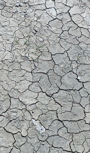Balade de Genêts au grouin du sud - Genêts - 11