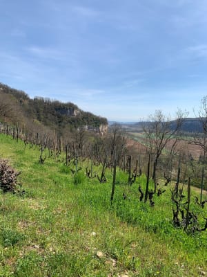 Saint-Sorlin-en-Bugey : aventure au top entre falaises et Rhône - Saint-Sorlin-en-Bugey - 2