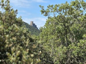 Château Queribus - Cucugnan - 2