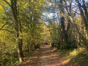De Charmes-sur-l'Herbasse au Bois de Bard - Charmes-sur-l'Herbasse - 18