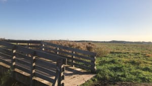 En passant par la plage des pauvres… - Camiers - 6