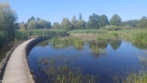 Gîtepark tussen Wavrin en Santes - Wavrin - 13