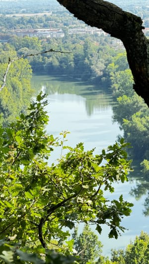 Entre coteaux et rivière du Tarn - Villemur-sur-Tarn - 8