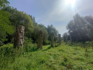 Porte d'entrée en Brie et mosaïque de paysages - Ferrières-en-Brie - 25