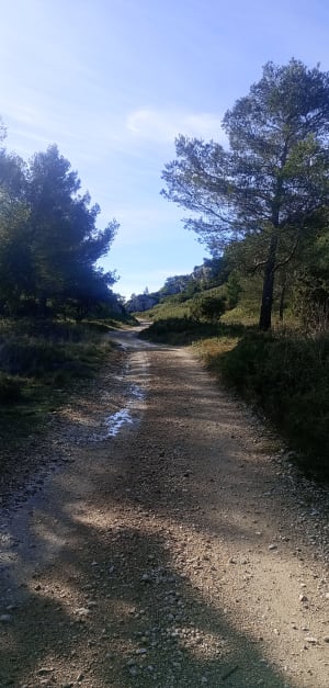 Saze, Aramon entres Capitelles et Rhône une belle Garrigue - Saze - 12