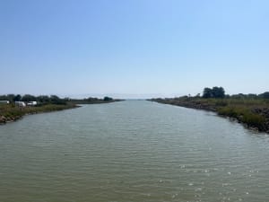 Le tour des marécages, entre étang et mer autour d'Agde - Vias - 7