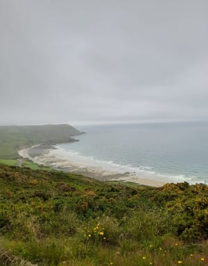 Boucle du bout du monde à La Hague et paysages irlandais - La Hague - 36