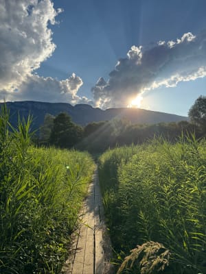 Sentier du Bout du lac d'Annecy depuis la plage - pacome - 4