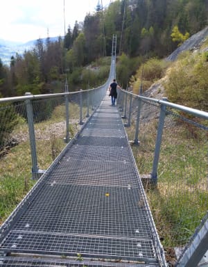 Bain de forêt jusqu'au Lac Vert entre Servoz et Passy - Servoz - 7