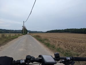 Œuvres monumentales, bois et rivière à vélo - Torcy - 5
