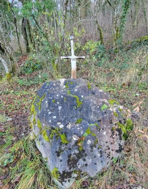Trail des sorcières autour du Mont Chauvin - Mâlain - 5