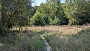 Belle balade sur le sentier de l'Yseron et ses alentour - Jérôme - 2