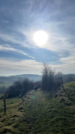 Dans les Monts du Lyonnais, par Grand Mont, depuis Riverie - Riverie - 20