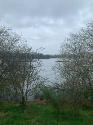 Le Malzieu-Ville et son petit lac - Le Malzieu-Ville - 7