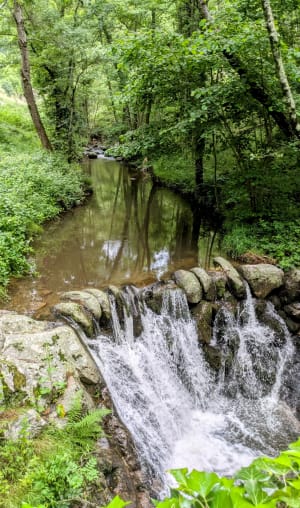 Promenade enchantée au départ de Prunet - Prunet - 11