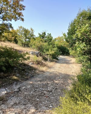 Petit tour d'Anglars - Saint-Antonin-Noble-Val - 5