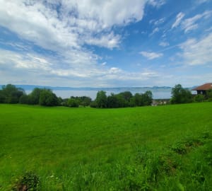 Boucle Maxilly - Véron - Maxilly-sur-Léman - 6