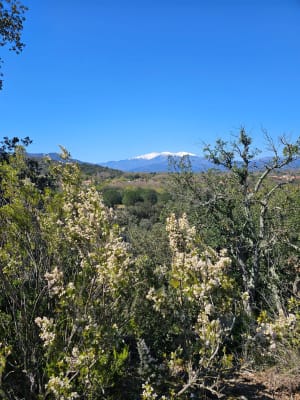 Correc de Montjuich - Bouleternère - 8