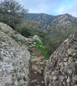 Au fil de l'eau de Laroque-des-Albères - Laroque-des-Albères - 46