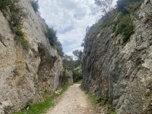 Le lac du Peirou et le Mont Gaussier par le sentier des échelles - Saint-Rémy-de-Provence - 28