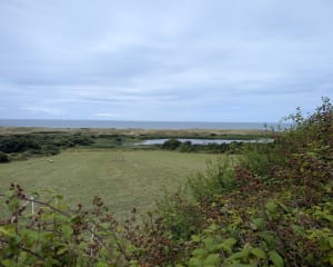 Réserve de Vauville, plage et souvenirs de guerre - Vauville - 12