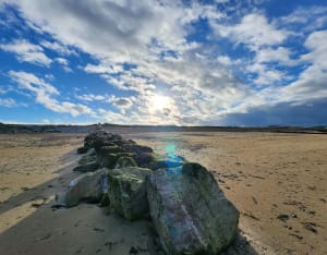 Graye-sur-Mer entre champs et plages - Delphine - 20