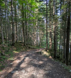 Balade entre Pont du Fossé et les Ricous - Saint-Jean-Saint-Nicolas - 5