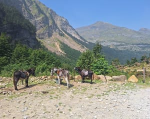 La + chouette rando d’Occitanie - Gavarnie-Gèdre - 11