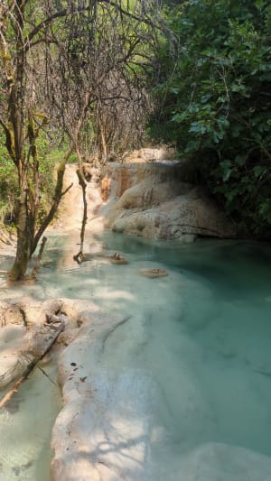 Balade dans le vallon sauvage du Tiourre, sa source et son moulin - Vallon-Pont-d'Arc - 31