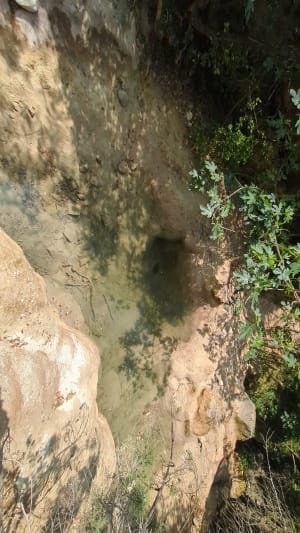 Balade dans le vallon sauvage du Tiourre, sa source et son moulin - Vallon-Pont-d'Arc - 32