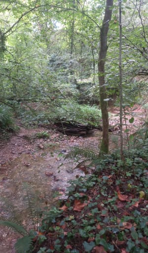 Chemin des fontaines St-Juéry - Sabine - 2