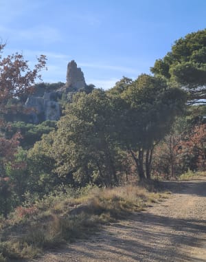 Belle balade dans les Dentelles de Montmirail - Beaumes-de-Venise - 26