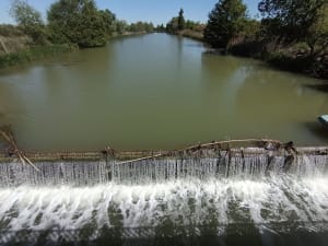 Le tour des marécages, entre étang et mer autour d'Agde - Vias - 22