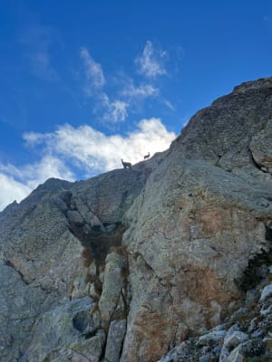 Vallée des Merveilles et tour des lacs du Mercantour par le refuge de Nice - Roquebillière - 6