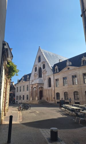 De reis van de uil in Dijon - Dijon - 58