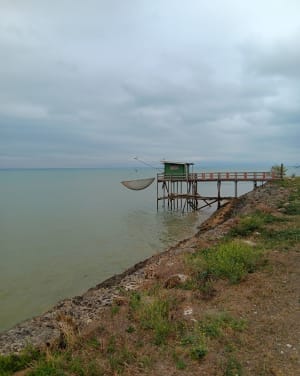 Escapade dans les marais du Médoc à VTC - Soulac-sur-Mer - 10