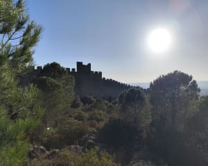 Montpeyroux : trip exquis entre vignes, oliviers et castellas ! - Montpeyroux - 10