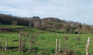 La Croix de la justice, Youx - Youx - 4
