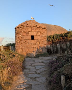 Belle balade sur la côte de granit rose - Perros-Guirec - 19