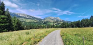 Canal -> lac des Jaussauds - Thomas - 2