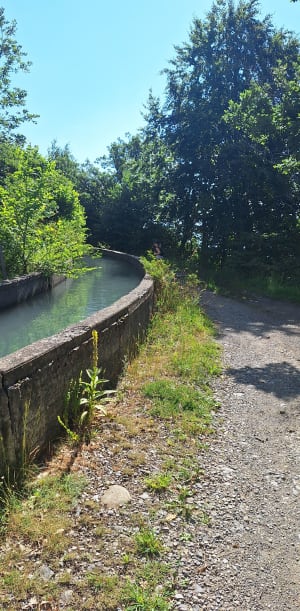 Canal -> lac des Jaussauds - Thomas - 3
