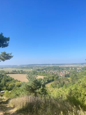 Forêt de Maillot et empreintes d'animaux sauvages - Rosoy - 8