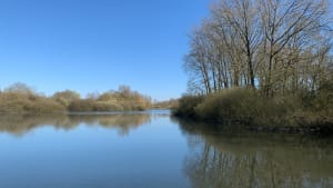 Ennevelin, ses marais et ses rencontres aquatiques discrètes - Ennevelin - 34