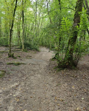 Roc de Chère-lus en betoverende landschappen - Talloires-Montmin - 45