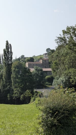 Vic-le-Comte et riche randonnée à l'orée de la forêt de la Comté - Vic-le-Comte - 2