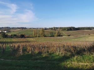 Entre château et vieux moulins à Fronsac - Fronsac - 8