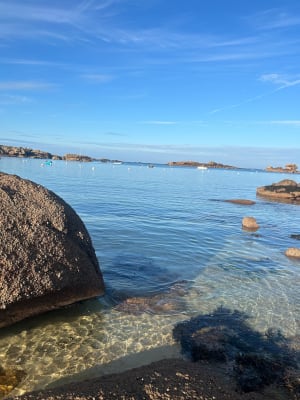 Boucle entre Terre et Mer sur la presqu’île de Trégastel - Trégastel - 21