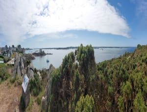Île de Batz et concentré pur jus de Bretagne - Île de Batz - 25
