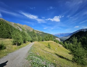 Van Les Orres tot het meer van Sainte-Marguerite - Les Orres - 24