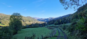 Saint-Simon et ses splendides vues sur les Monts du Cantal - TheJms1962 - 11